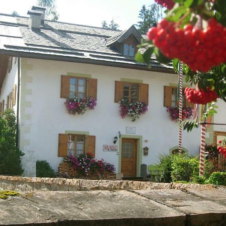 Achillea Bed & Breakfast 비고디파사 외부 사진