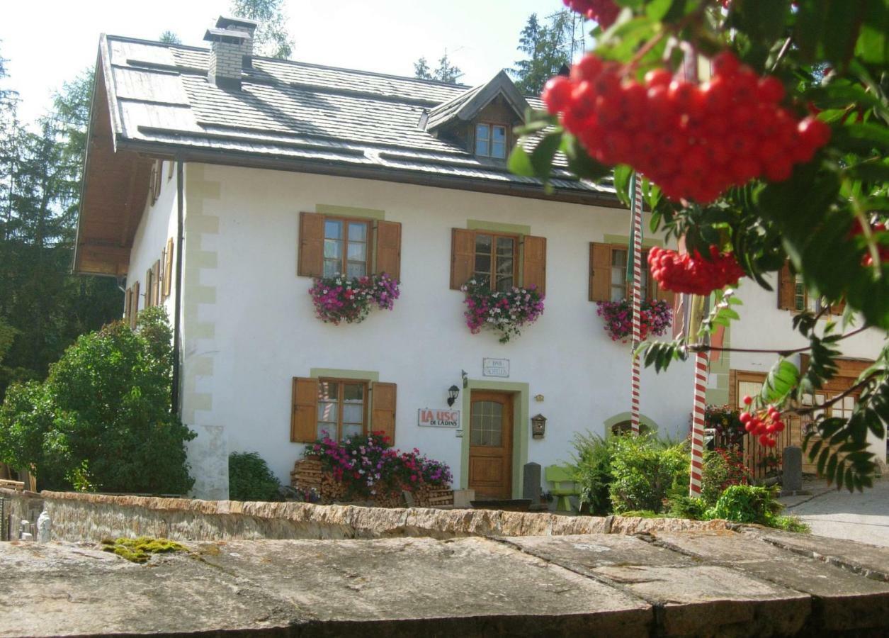 Achillea Bed & Breakfast 비고디파사 외부 사진