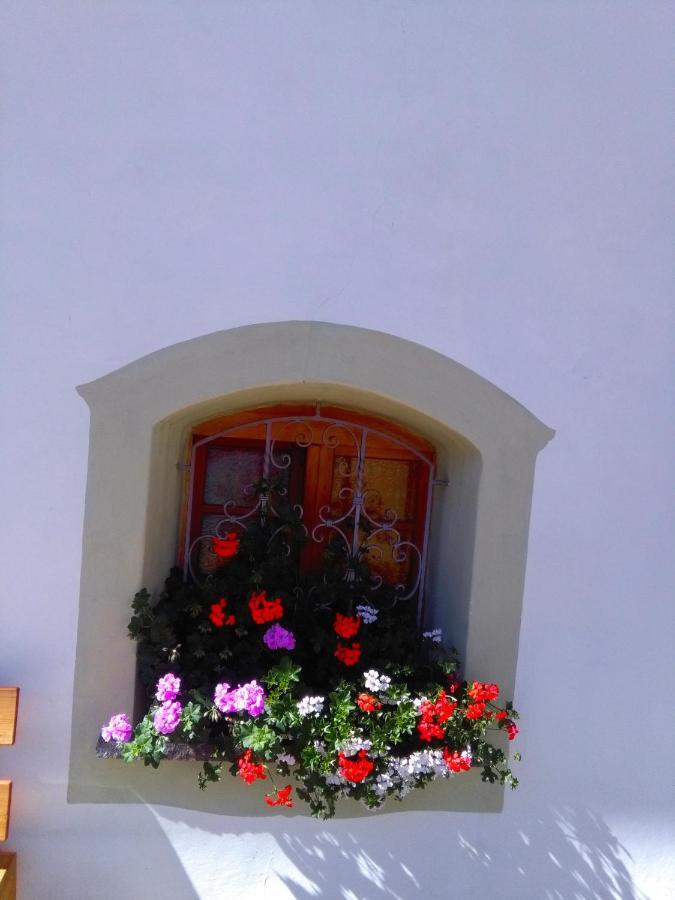 Achillea Bed & Breakfast 비고디파사 외부 사진