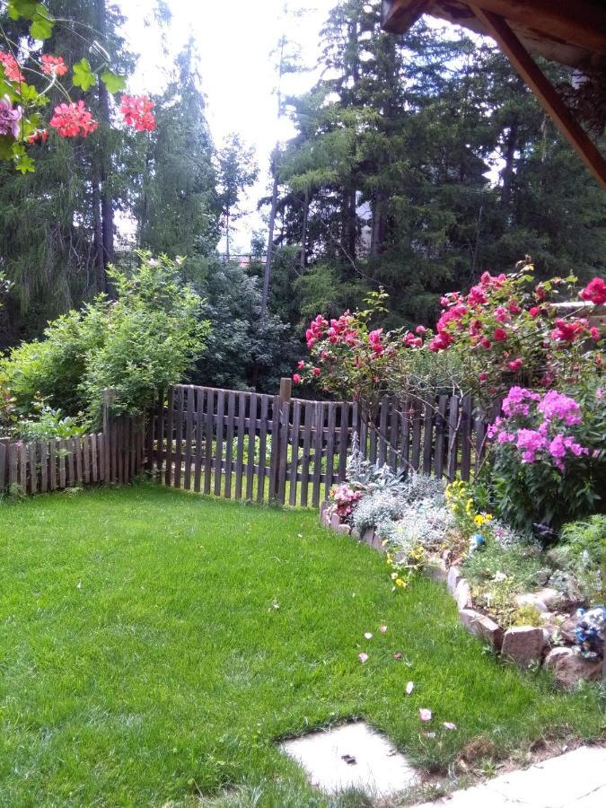 Achillea Bed & Breakfast 비고디파사 외부 사진